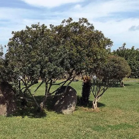 Sea Paradise شقة