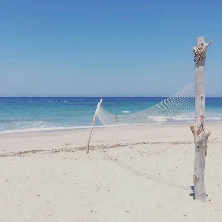 Sea Paradise فاليدوريا